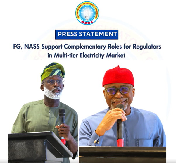 FG, NASS Support Complementary Roles for Regulators in Multi-tier Electricity Market
